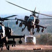 Fire Birds - galeria zdjęć - filmweb
