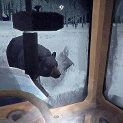 The Long Dark - galeria zdjęć - filmweb