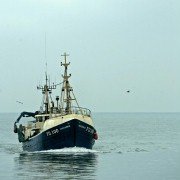 True North - galeria zdjęć - filmweb