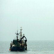 True North - galeria zdjęć - filmweb