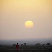 Desert Flower - galeria zdjęć - filmweb