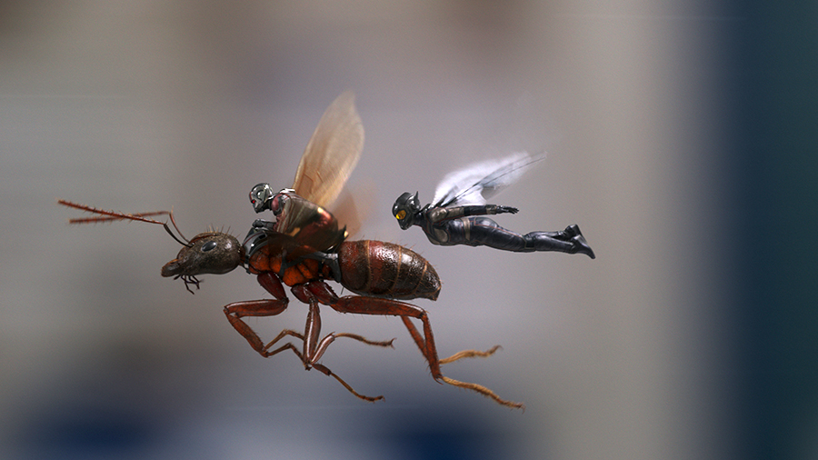 Dorwać małego (recenzja filmu Ant-Man i Osa)