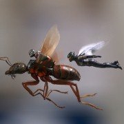 Ant-Man and the Wasp - galeria zdjęć - filmweb