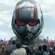 Ant-Man and the Wasp - galeria zdjęć - filmweb