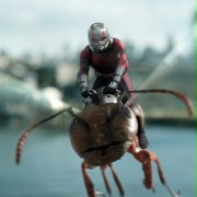 Ant-Man and the Wasp - galeria zdjęć - filmweb