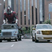 Ant-Man and the Wasp - galeria zdjęć - filmweb