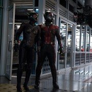 Ant-Man and the Wasp - galeria zdjęć - filmweb