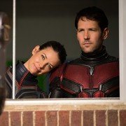 Ant-Man and the Wasp - galeria zdjęć - filmweb