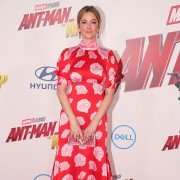 Ant-Man and the Wasp - galeria zdjęć - filmweb