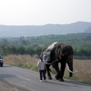 Pop Aye - galeria zdjęć - filmweb