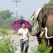 Pop Aye - galeria zdjęć - filmweb