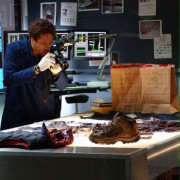 CSI: Crime Scene Investigation - galeria zdjęć - filmweb