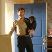 Walk Hard: The Dewey Cox Story - galeria zdjęć - filmweb