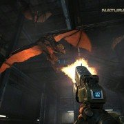 Natural Selection 2 - galeria zdjęć - filmweb