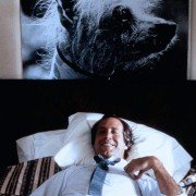 Fletch - galeria zdjęć - filmweb