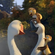 Duck Duck Goose - galeria zdjęć - filmweb