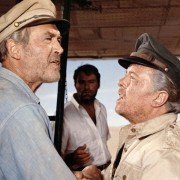 The Flight of the Phoenix - galeria zdjęć - filmweb