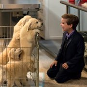 Pełniejsza chata - galeria zdjęć - filmweb