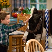Fuller House - galeria zdjęć - filmweb