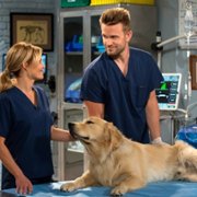 Fuller House - galeria zdjęć - filmweb
