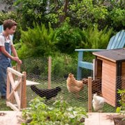 Fuller House - galeria zdjęć - filmweb