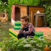 Fuller House - galeria zdjęć - filmweb