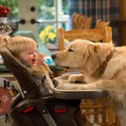 Fuller House - galeria zdjęć - filmweb