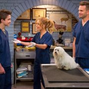 Fuller House - galeria zdjęć - filmweb
