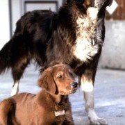 Fluke - galeria zdjęć - filmweb