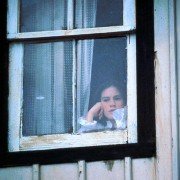 Droga do domu - galeria zdjęć - filmweb