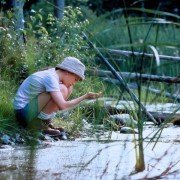 Droga do domu - galeria zdjęć - filmweb