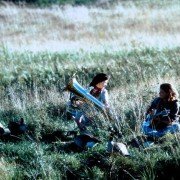 Droga do domu - galeria zdjęć - filmweb
