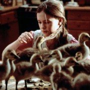 Fly Away Home - galeria zdjęć - filmweb