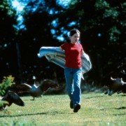 Fly Away Home - galeria zdjęć - filmweb