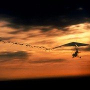 Fly Away Home - galeria zdjęć - filmweb