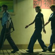 Medical Police - galeria zdjęć - filmweb