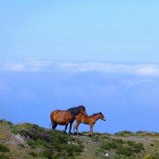 Footprints: El camino de tu vida - galeria zdjęć - filmweb