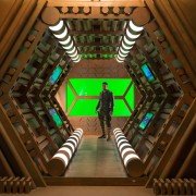 Psychofanka - galeria zdjęć - filmweb
