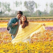 Veer-Zaara - galeria zdjęć - filmweb