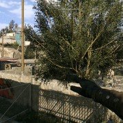 Dying Light - galeria zdjęć - filmweb