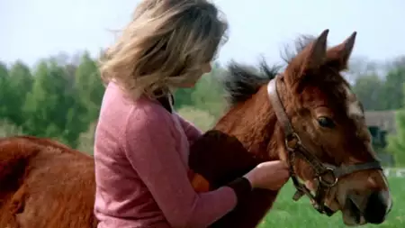 Karino - galeria zdjęć - filmweb