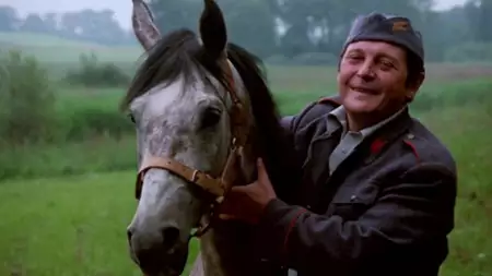 Karino - galeria zdjęć - filmweb