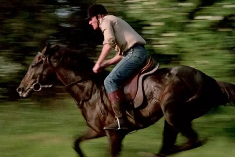 Karino - galeria zdjęć - filmweb