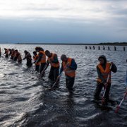 Efterforskningen - galeria zdjęć - filmweb