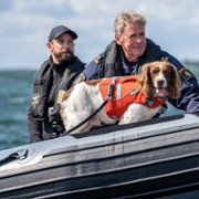 Efterforskningen - galeria zdjęć - filmweb