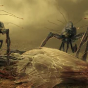 Invasion - galeria zdjęć - filmweb