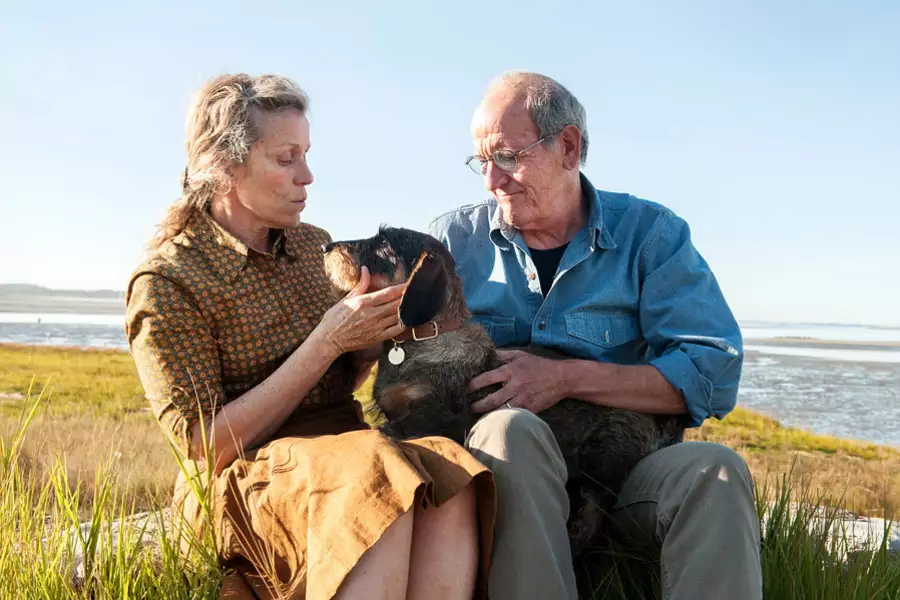 Olive Kitteridge - galeria zdjęć - filmweb