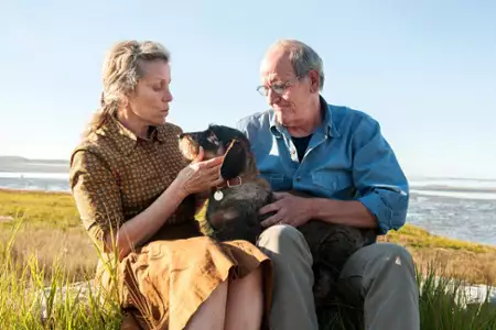 Olive Kitteridge - galeria zdjęć - filmweb