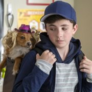 Kumpel terapeuta - galeria zdjęć - filmweb