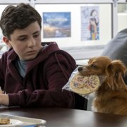 Kumpel terapeuta - galeria zdjęć - filmweb